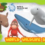 Witness21  2022 03 03