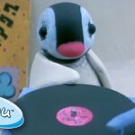 Pinga the DJ! @Pingu β Official Channel Cartoons For Kids - Kids (0-5), Kingdom Kids Zone - Pingu - Official Channel