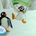 Pingu And Pinga Experience A Windy Day!💨@Pingu Cartoons For Kids - Kids (0-5), Kingdom Kids Zone - Pingu - Official Channel