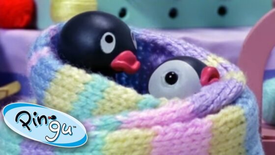 Pingu And His Daily Adventures @Pingu Cartoons For Kids - Kids (0-5), Kingdom Kids Zone - Pingu - Official Channel