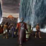 Witness21 Editor  2022 03 04