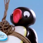 Pingu And The Postman @Pingu Cartoons For Kids - Kids (0-4), Kingdom Kids Zone - Pingu - Official Channel