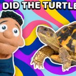 Witness21  2022 03 11