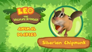 Witness21 Editor  2022 03 27