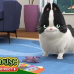 Agent Binky: Pets of the Universe | The Puzzle - Kids TV Series, Kingdom Kids Zone - Treehouse Direct