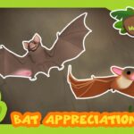 Witness21  2022 04 16