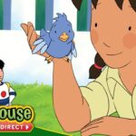George Shrinks | Close Encounters of the Bird Kind - Kids TV Series, Kingdom Kids Zone - Treehouse Direct