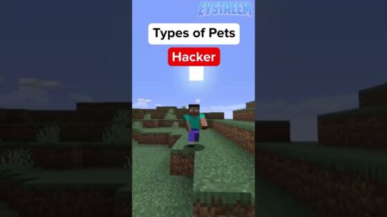 Minecraft NOOB vs PRO vs HACKER: Pet Edition - Gameplay, Kingdom Kids Zone, Minecraft - EYstreem