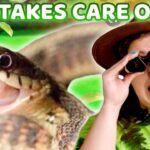 Witness21  2022 04 29