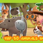 Witness21  2022 04 29