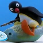 Pingu And His Family Learn About The World! @Pingu – Official Channel Cartoons For Kids - Kids (0-4), Kingdom Kids Zone - Pingu - Official Channel