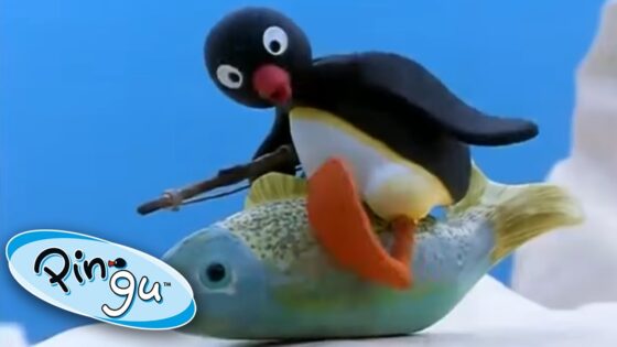 Pingu And His Family Learn About The World! @Pingu – Official Channel Cartoons For Kids - Kids (0-5), Kingdom Kids Zone - Pingu - Official Channel