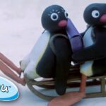 Pingu on the Sledge! @Pingu β Official Channel Cartoons For Kids - Kids (0-5), Kingdom Kids Zone - Pingu - Official Channel