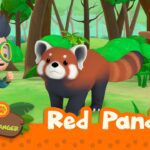 Witness21  2022 04 08