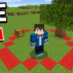 Minecraft, But You Can’t Leave This Circle… - Gameplay, Kingdom Kids Zone, Minecraft - EYstreem