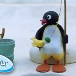 Pingu Catches a Fish! @Pingu – Official Channel Cartoons For Kids - Kids (0-4), Kingdom Kids Zone - Pingu - Official Channel
