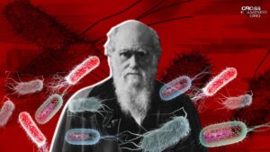 What is the best Darwinian objection to irreducible complexity? - Science & Faith, Truth Seekers - Cross Examined