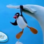 Pingu and the Giant Ice Whale! @Pingu – Official Channel Cartoons For Kids - Kids (0-4), Kingdom Kids Zone - Pingu - Official Channel