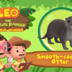 Witness21 Editor  2022 05 22