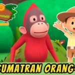 Witness21 Editor  2022 05 27