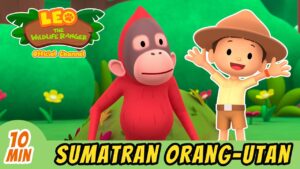 Witness21 Editor  2022 05 27