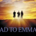 Witness21 Editor  2022 06 14