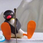 Pingu Plays Sports | Pingu – Official Channel | Cartoons For Kids - Kids (0-4), Kingdom Kids Zone - Pingu - Official Channel