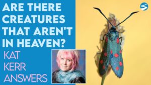 Kat Kerr: Are There Things On Earth That Aren’t In Heaven? | Feb 2 2022 - Encounters, Heaven Trip, Testimonies - ElijahClips