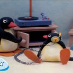 Best Episodes from Season 1 | Pingu – Official Channel | Cartoons For Kids - Kids (0-4), Kingdom Kids Zone - Pingu - Official Channel
