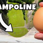 Close-up of a brown egg held by fingers on the right, with a bird's-eye view of a circular grassy pit labeled 'TRAMPOLINE' and an arrow pointing to it.