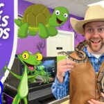 Host in a cowboy hat wearing a brown vest holds a snake, with cartoon animals (turtle, frog, kangaroo) and a purple banner that reads 'EXOTIC ANIMALS FOR KIDS' and 'COWBOY JACK' in the corner—thumbnailed for a kids' animal video.