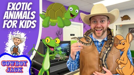 Host in a cowboy hat wearing a brown vest holds a snake, with cartoon animals (turtle, frog, kangaroo) and a purple banner that reads 'EXOTIC ANIMALS FOR KIDS' and 'COWBOY JACK' in the corner—thumbnailed for a kids' animal video.
