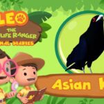 Witness21 Editor  2022 06 19