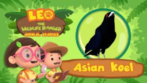 Witness21 Editor  2022 06 19