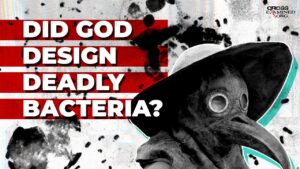 How does Intelligent design explain deadly bacteria? - Science & Faith, Truth Seekers - Cross Examined