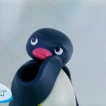 Best Episodes from Season 5 | Pingu – Official Channel | Cartoons For Kids - Kids (0-4), Kingdom Kids Zone - Pingu - Official Channel