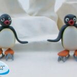 Pingu and His Friends | Pingu – Official Channel | Cartoons For Kids - Kids (0-5), Kingdom Kids Zone - Pingu - Official Channel