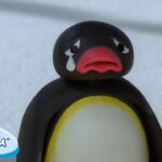Pingu’s Emotions | Pingu – Official Channel | Cartoons For Kids - Kids (0-4), Kingdom Kids Zone - Pingu - Official Channel