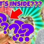 Witness21  2022 07 01