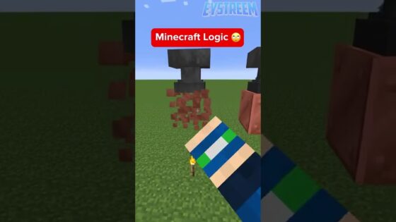 Minecraft Logic 🙄 - Gameplay, Kingdom Kids Zone, Minecraft - EYstreem