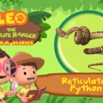 Witness21 Editor  2022 07 17