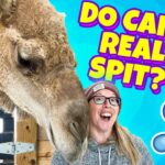 Witness21  2022 07 08