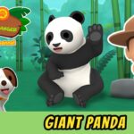 Witness21 Editor  2022 07 01