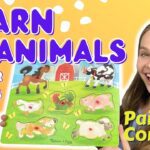 Witness21 Editor  2022 07 09