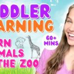 Witness21 Editor  2022 08 18