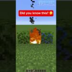 More Minecraft Questions Answered - Gameplay, Kingdom Kids Zone, Minecraft - EYstreem