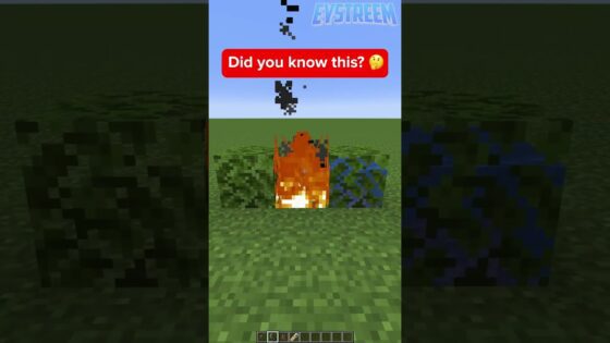 More Minecraft Questions Answered - Gameplay, Kingdom Kids Zone, Minecraft - EYstreem