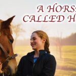 Witness21 Editor  2022 08 21