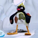 Pingu Gets Into Trouble | Pingu – Official Channel | Cartoons For Kids - Kids (0-4), Kingdom Kids Zone - Pingu - Official Channel