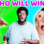 Witness21 Editor  2022 08 12